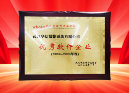 喜讯丨DB真人旗舰 DB数据获评2024~2025年度武汉市软件行业&ldquo;优秀企业&rdquo;、&ldquo;优秀工作者&rdquo;荣誉称号！